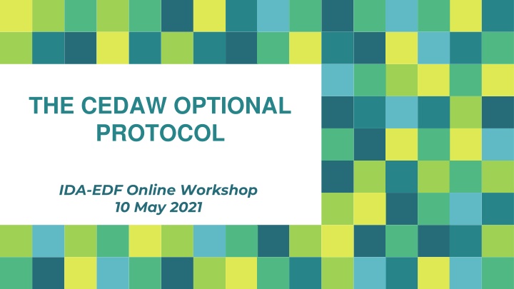 The CEDAW Optional Protocol