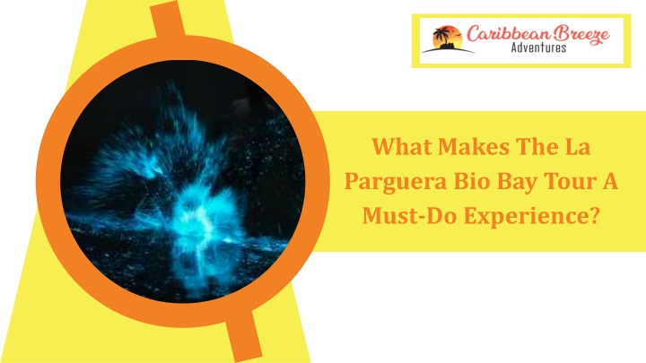 What Makes The La Parguera Bio Bay Tour A Must-Do Experience