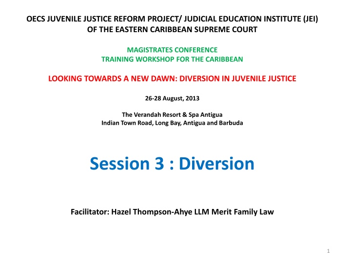 Juvenile Justice Diversion Programs: Principles and Importance