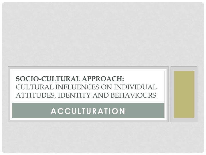 Acculturation: Cultural Influences and Identity Changes