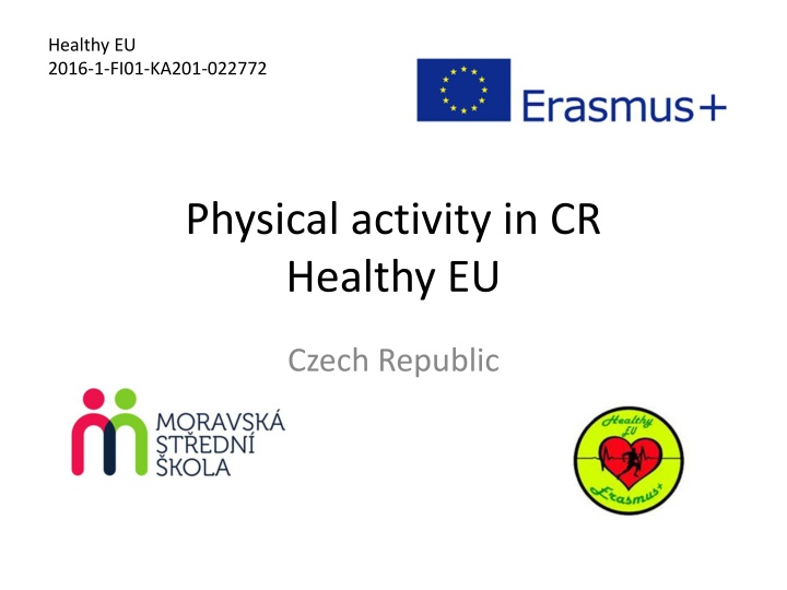Research Work for Physical Activity Statistics in the Czech Republic
