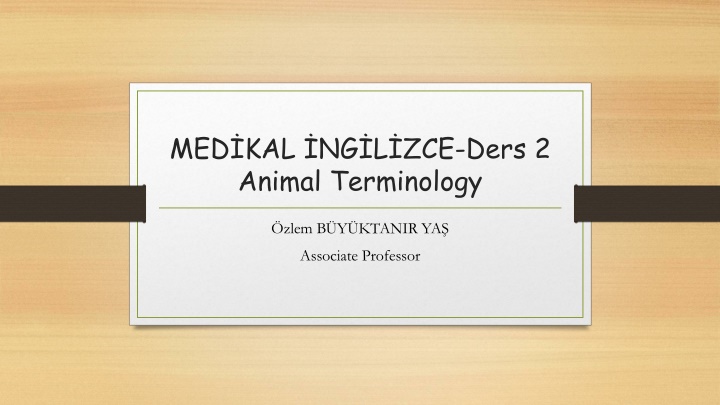 Animal Terminology in Livestock Farming