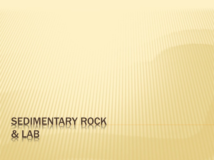 Sedimentary Rocks and Their Formation