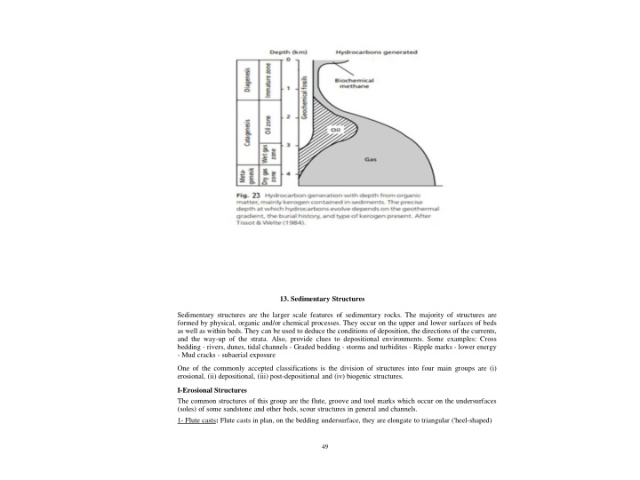 Sedimentary Structures: Types and Significance