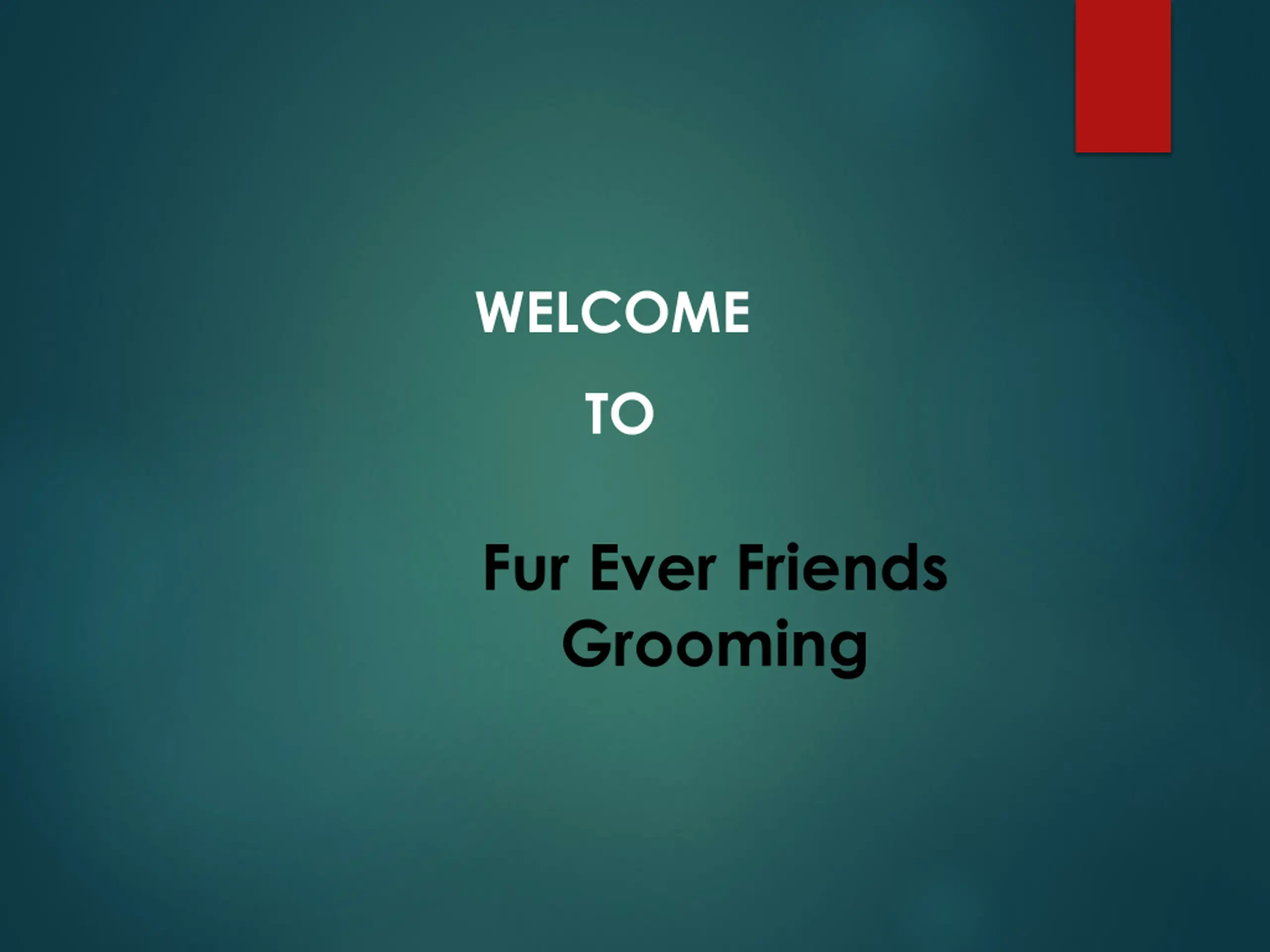 Best Pet Grooming in Hanmer