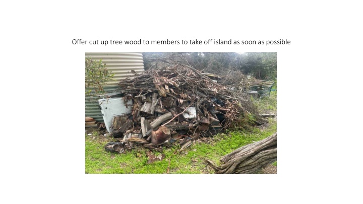 Island Cleanup Tasks Urgently Need Attention