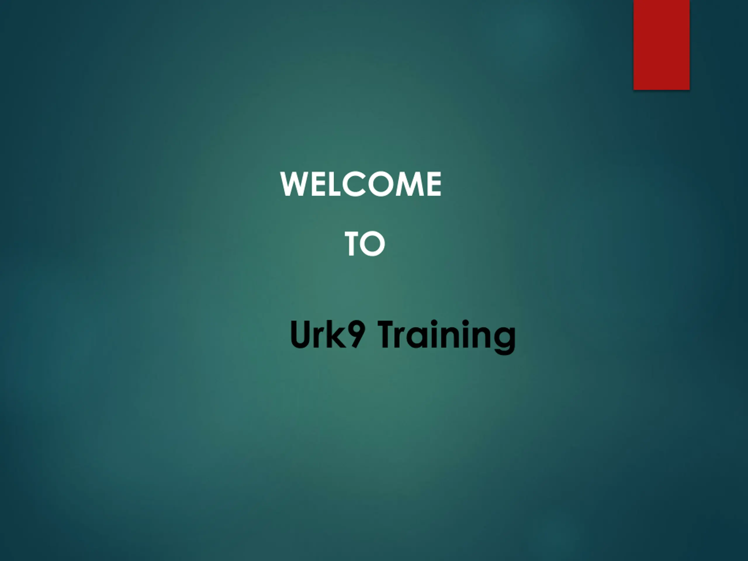 Best Puppy Training Service in Albion