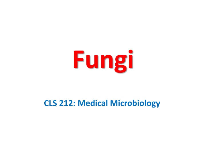 The Fascinating World of Fungi: Mycology Insights