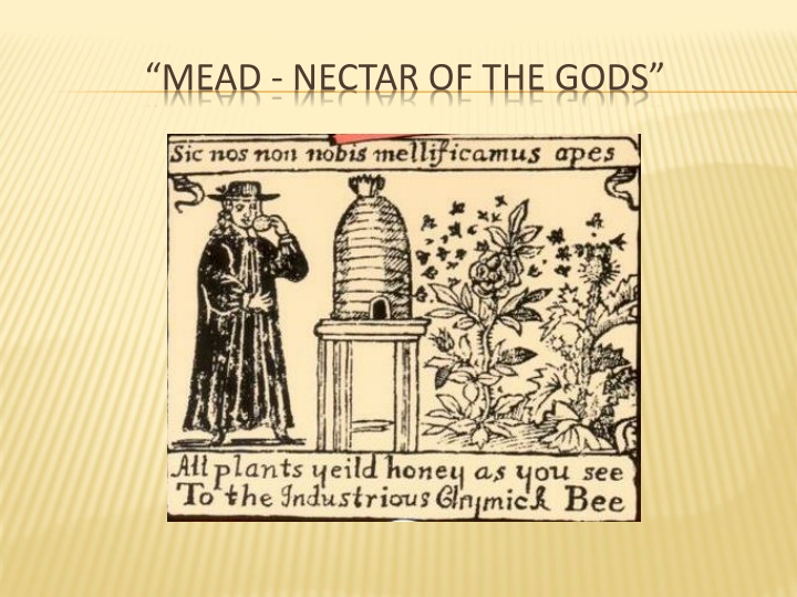 Unveiling the Secrets of Mead: History, Making Process, and Fermentation