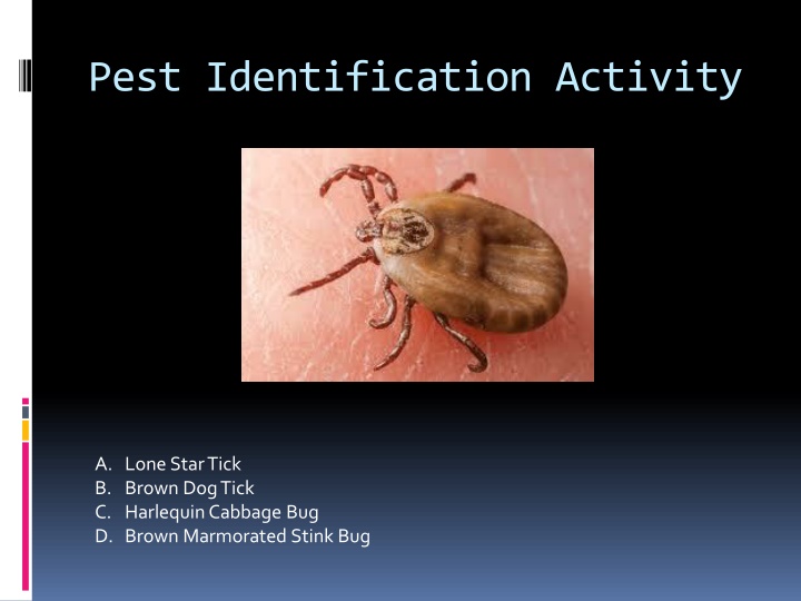 Pest Identification Activities for Common Pests