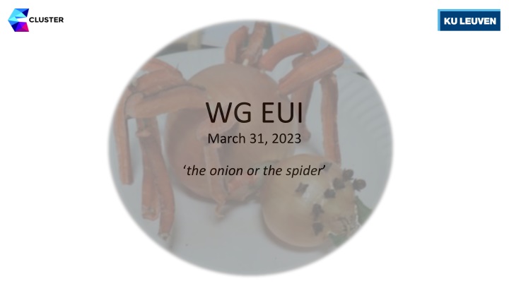 Internationalization Strategies for European University Alliances: The Onion or The Spider Approach