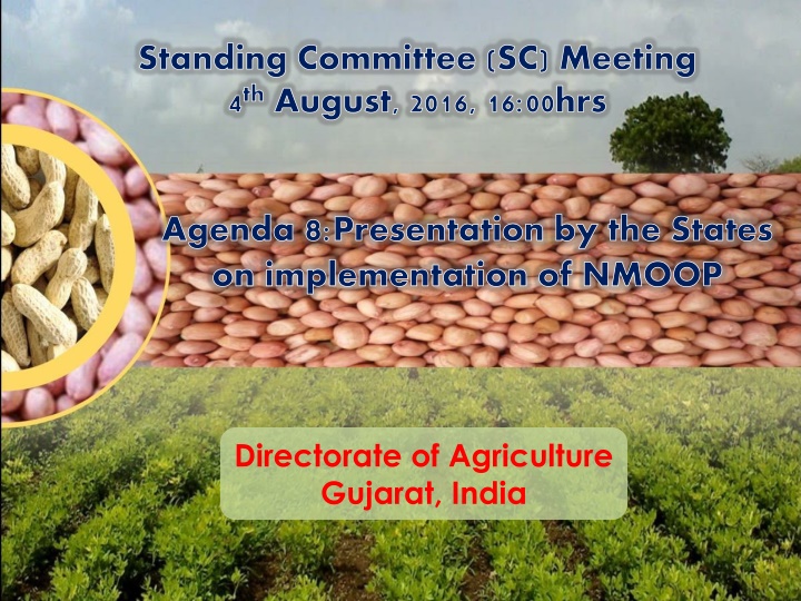 Agricultural Progress in Gujarat: Meeting Highlights and Crop Statistics