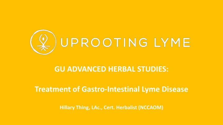 Advanced Herbal Approaches for Gastro-Intestinal Lyme Disease Treatment