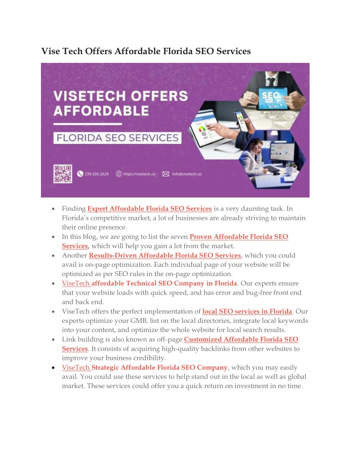 vise tech offers affordable florida seo services n.w