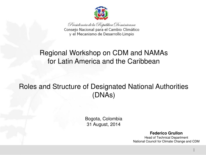 Organizational Structure of National Council for Climate Change and Clean Development Mechanism in the Dominican Republic