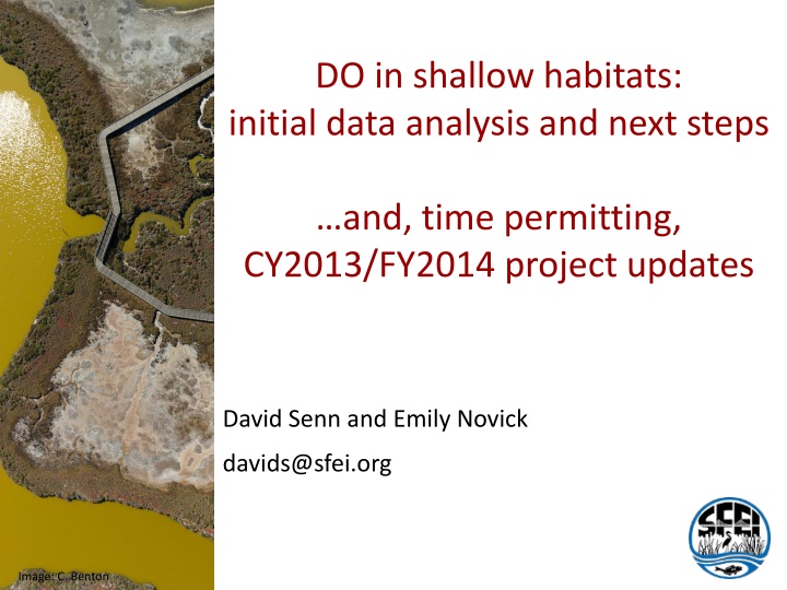 Shallow Habitats Data Analysis & Project Updates