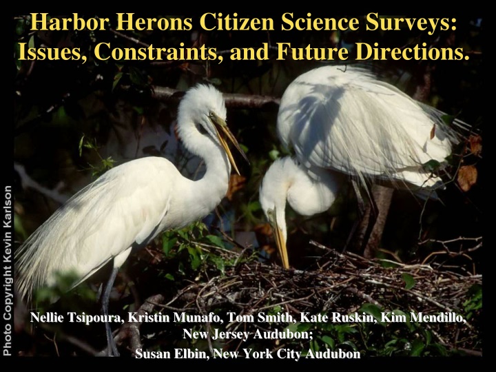 Challenges and Solutions in Harbor Herons Citizen Science Surveys