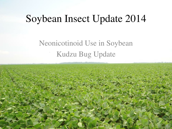 Neonicotinoids in Field Crops: Update on Soybean Insect Control