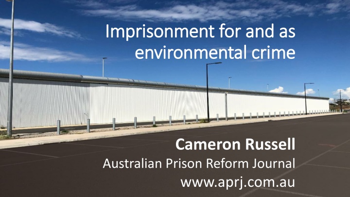 Imprisonment for Environmental Crimes: Impact and Controversy in the Justice System