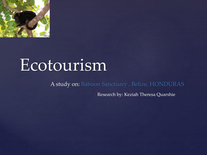 Sustainable Ecotourism at the Baboon Sanctuary in Belize