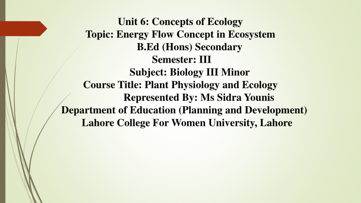 Energy Flow in Ecosystems