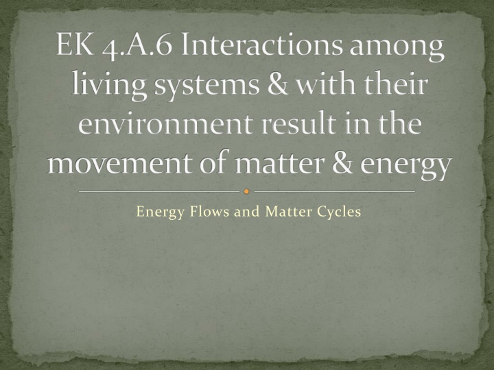 Energy Flows and Matter Cycles in Living Systems