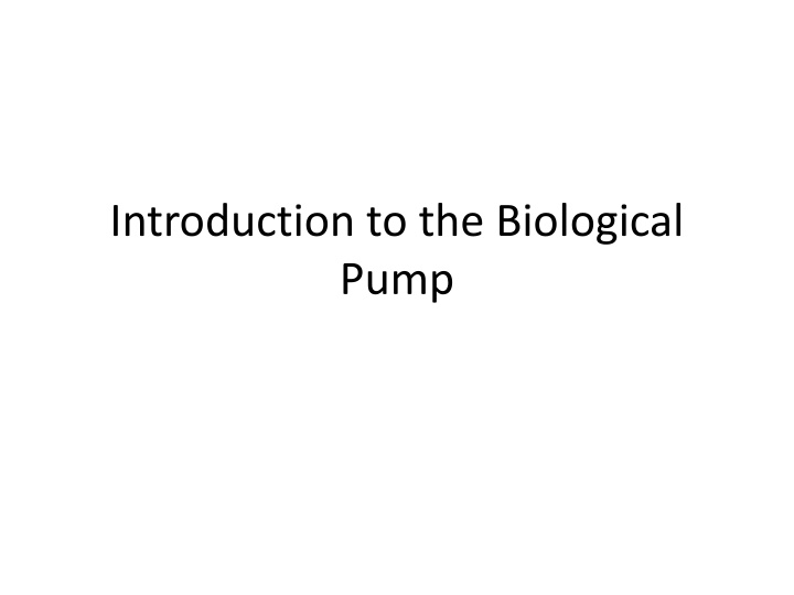 The Biological Pump and Carbon Cycle in the Ocean