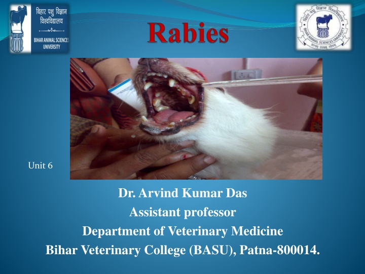 Rabies: A Comprehensive Overview of the Disease