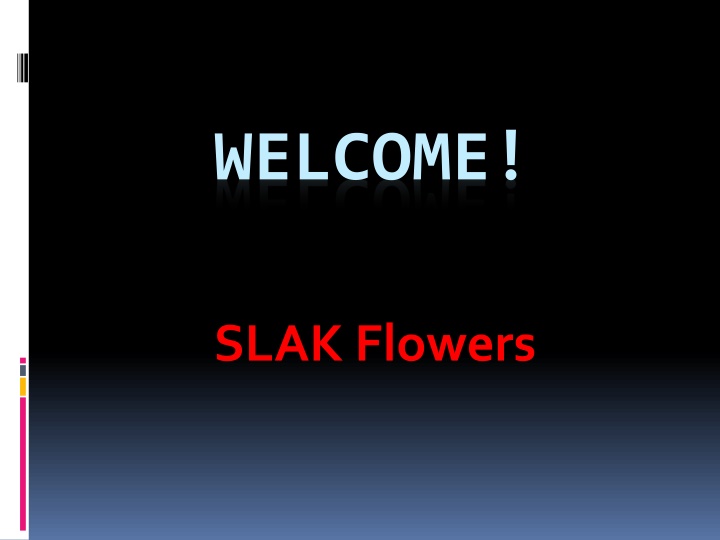 Best Event Flowers in Surry Hills