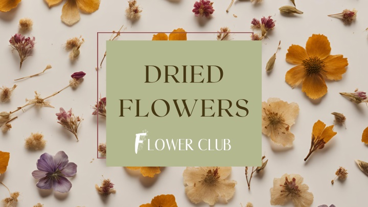 dried flowers n.w