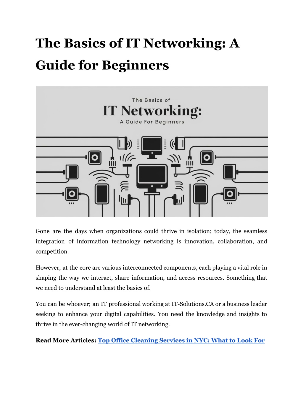 the basics of it networking a l.w