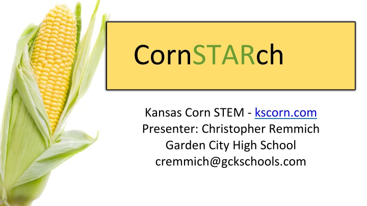 Mysteries of Cornstarch and Water Mixtures