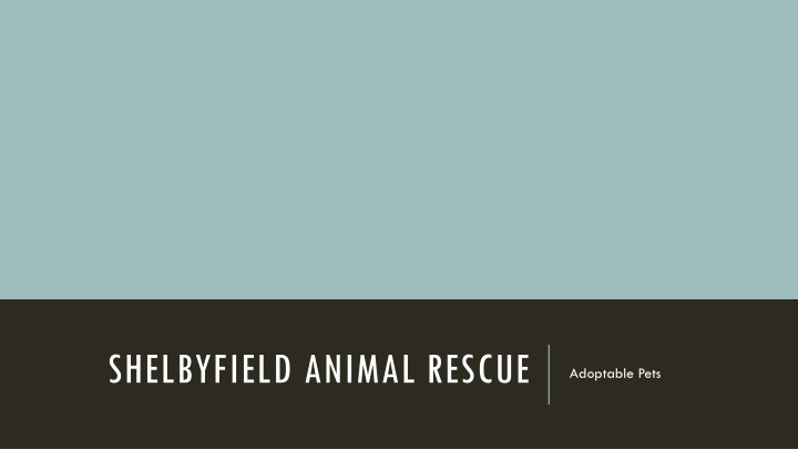 Shelbyfield Animal Rescue - Adoptable Pets and Benefits of Pet Ownership