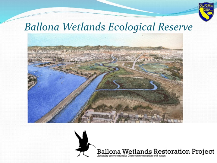 Conservation Efforts and Restoration Plans for Ballona Wetlands