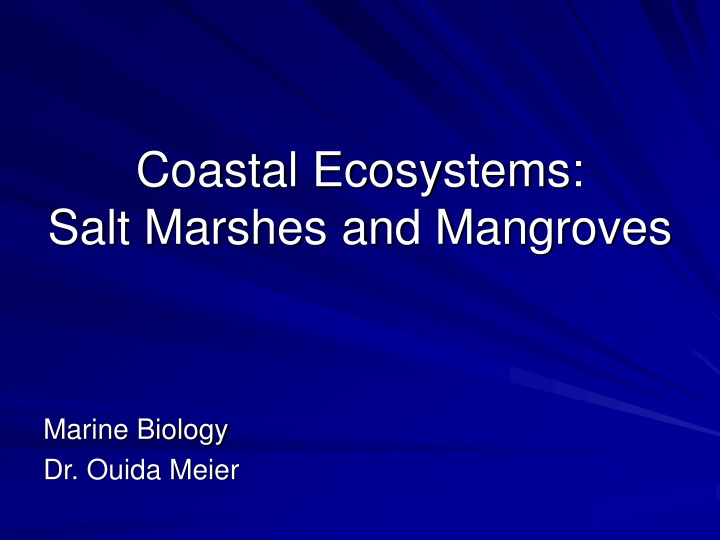 Coastal Ecosystems: Salt Marshes and Mangroves Overview