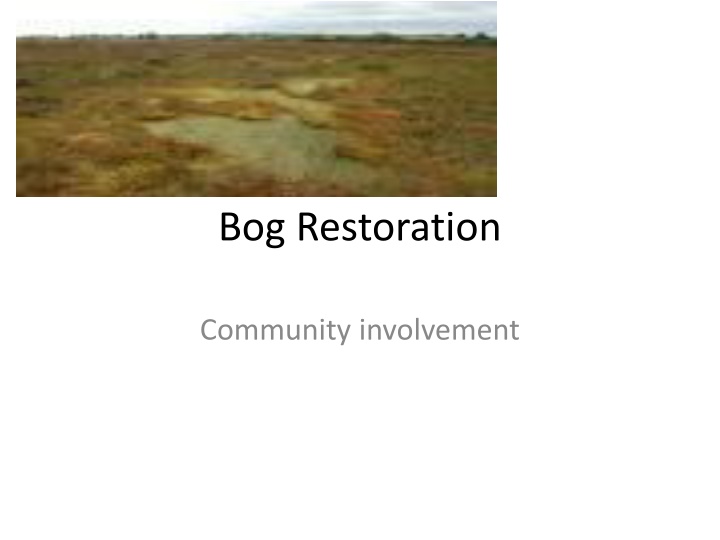 Empowering Communities for Wetlands and Bog Restoration Through Community Involvement