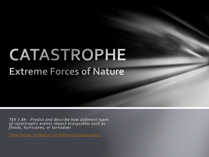 Impact of Catastrophic Events on Ecosystems