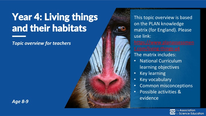Living Things and Habitats in Year 4