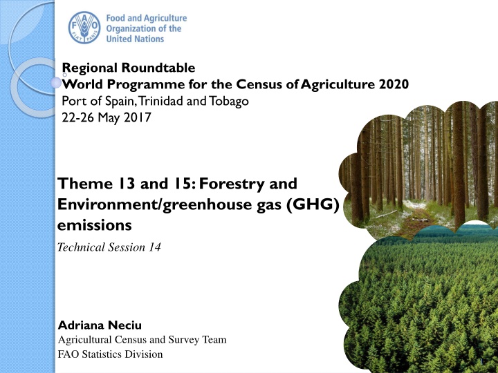 Importance of Forestry in Agricultural Census - Regional Roundtable World Programme