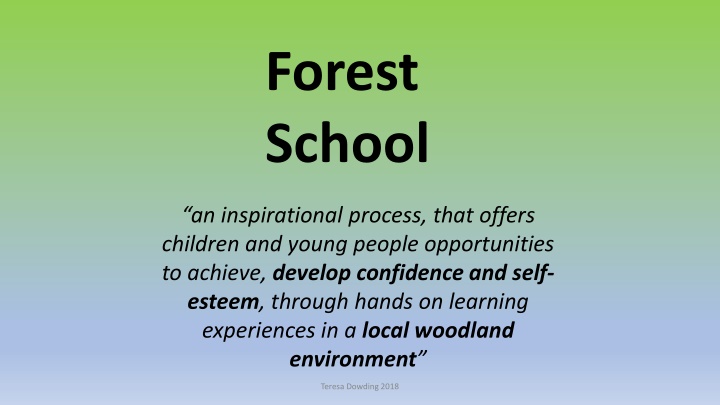 Forest School: A Journey of Learning and Development