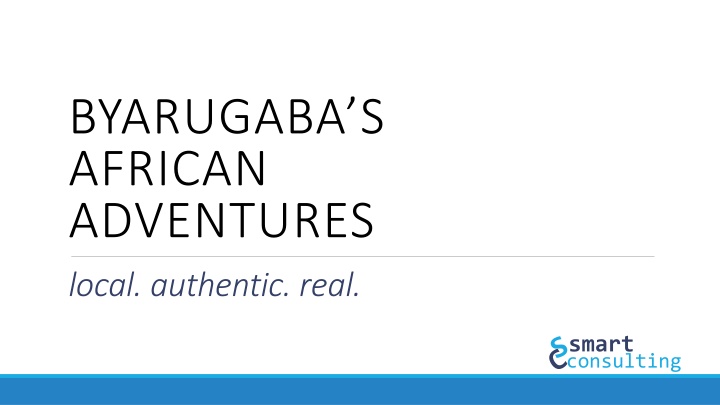 Business Revitalization Strategy for Byarugaba's African Adventures