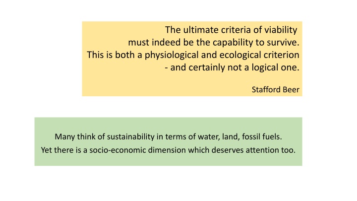 Exploring Viability and Sustainability Factors in Language Preservation