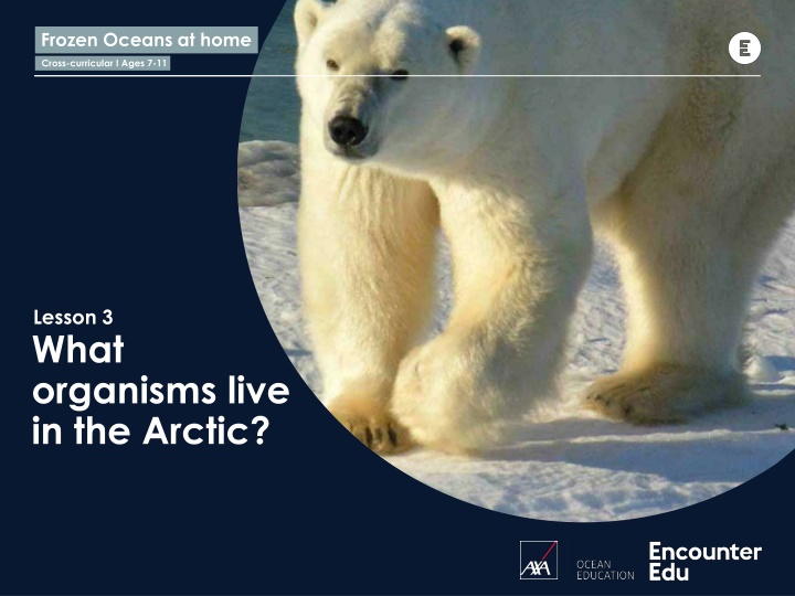 Arctic Organisms: Lesson for Ages 7-11