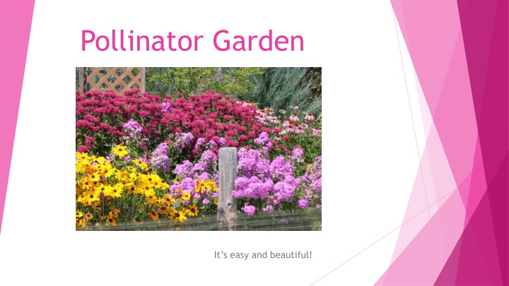 Create a Pollinator Garden: Easy and Beautiful Tips