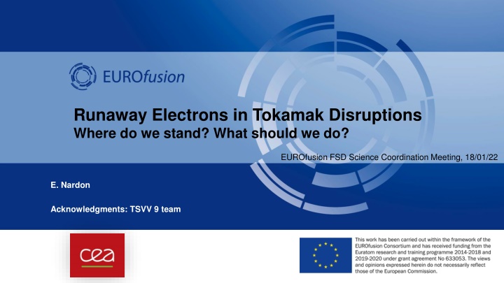 Runaway Electrons in Tokamak Disruptions: Current Status and Future Directions