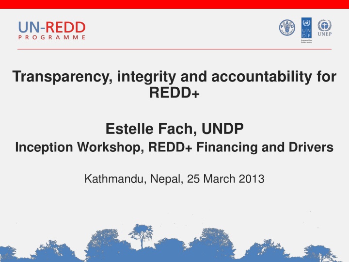 Importance of Governance and Integrity in REDD+