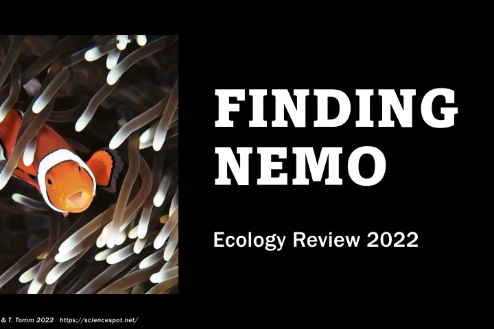 Ecology of Finding Nemo and the Great Barrier Reef