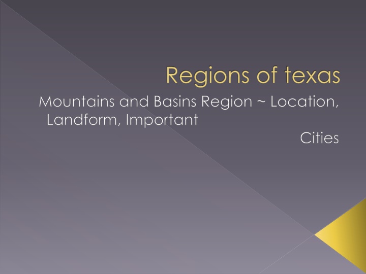 Mountains and Basins Region of Texas