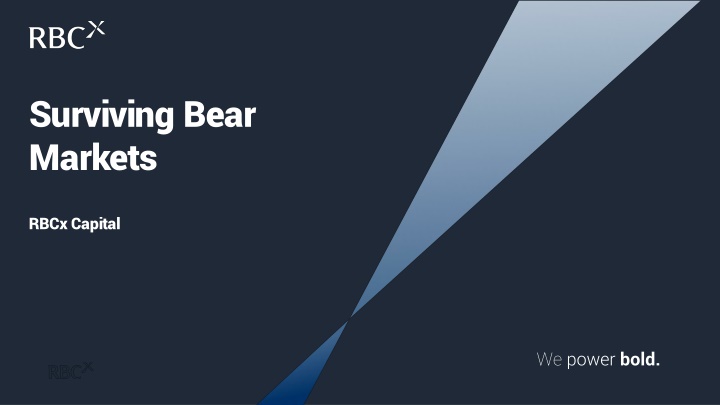 Navigating the Bear Market: Strategies for VC Survival
