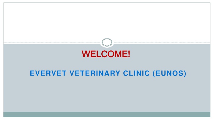 Looking for the best Dog Vaccine in Geylang